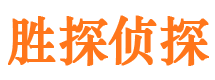 龙凤捉小三公司